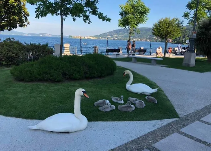 Antico Palazzo Maggiore *